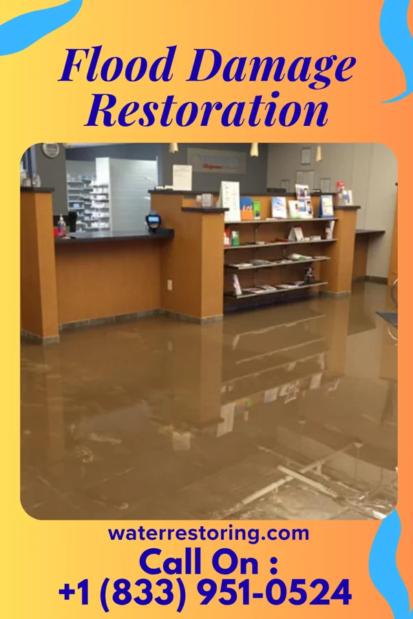 Flood Damage Restoration in Saline, LA
