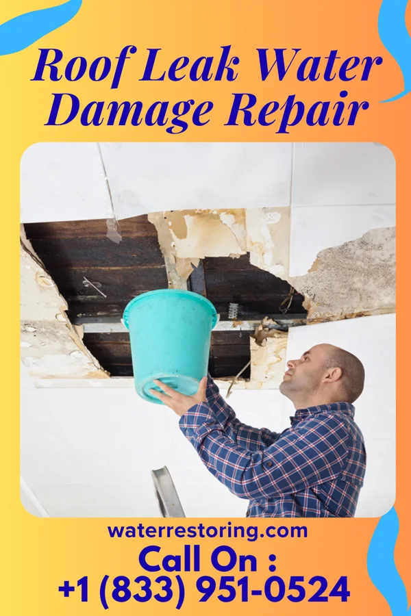Roof Leak Water Damage Repair in Saline, LA